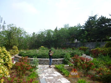 綠色生態(tài)園典范——探秘九龍?zhí)渡鷳B(tài)園的自然與人文之美