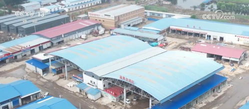 河北涿州最大農產品批發市場恢復營業，災后生產生活逐步回暖